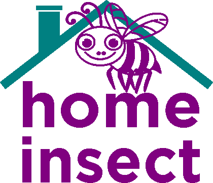 home insect